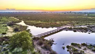 La réserve Naturelle des Orpellières