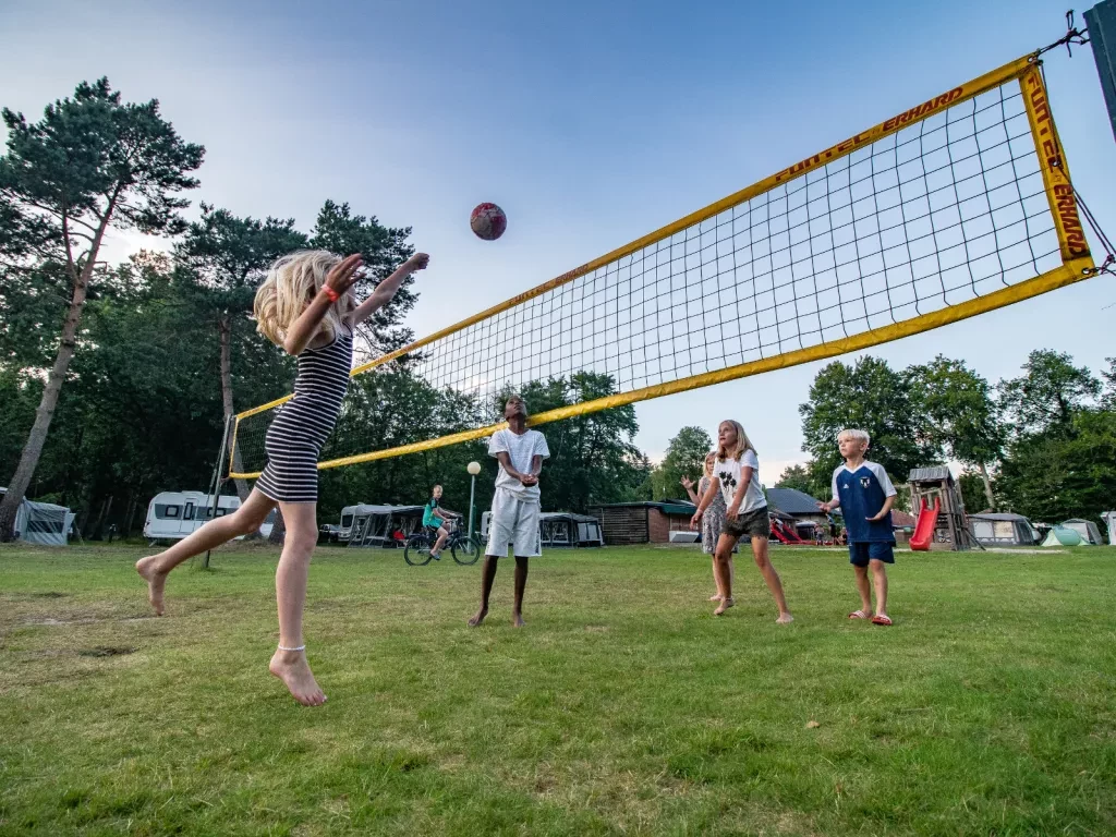 Volleyball-NT
